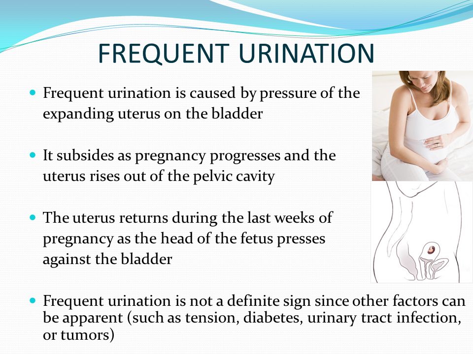 DIAGNOSIS OF PREGNANCY. MATERNAL ADAPTATION TO PREGNANCY. - ppt video  online download