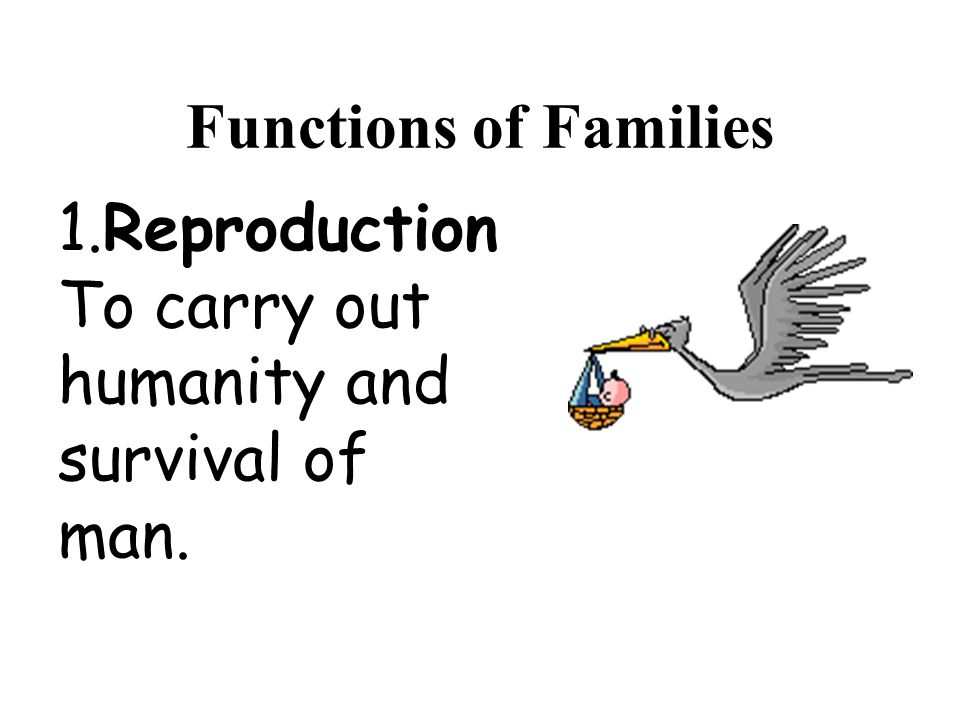 Functions of Families 1.Reproduction To carry out humanity and survival of man.