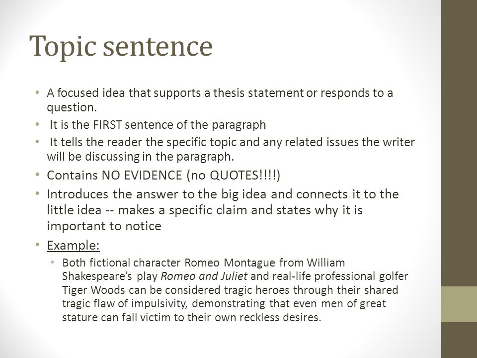 Topic sentence Contains NO EVIDENCE (no QUOTES!!!!)
