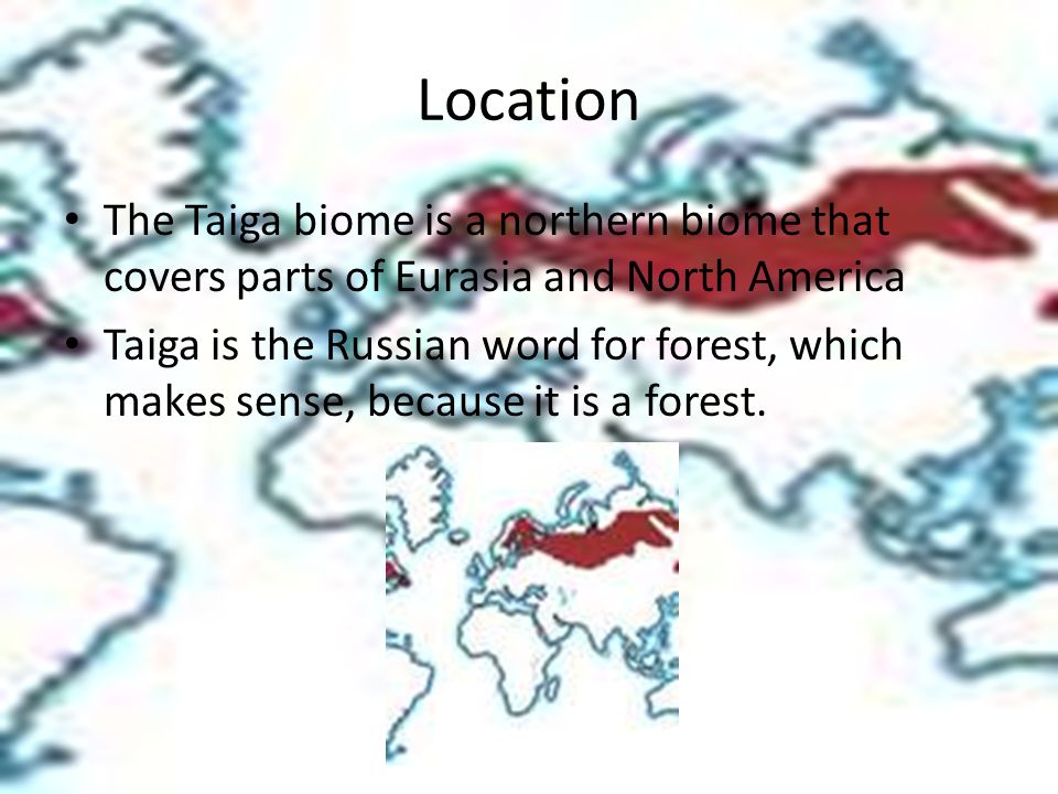 Location The Taiga biome is a northern biome that covers parts of Eurasia and North America.