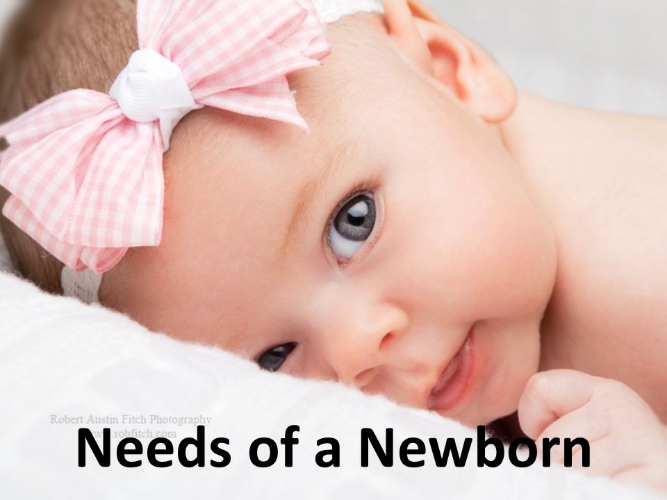 Needs of a Newborn