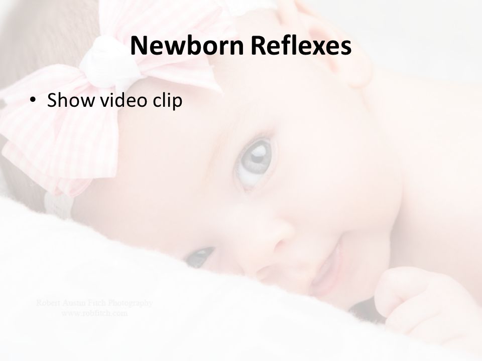 Newborn Reflexes Show video clip