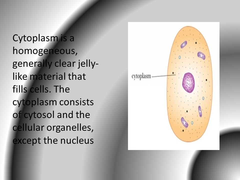 I have cytoplasm in my cells It's a jelly like fluid in my cell I likes  the j Meme Maker!
