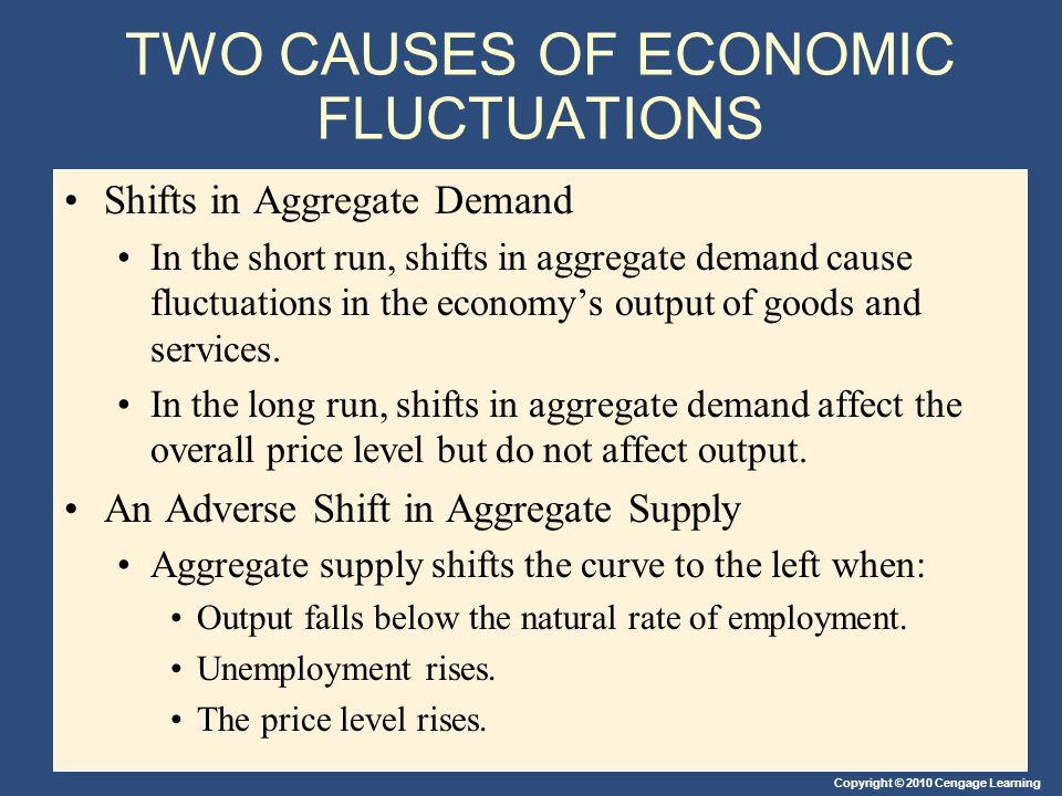 TWO CAUSES OF ECONOMIC FLUCTUATIONS