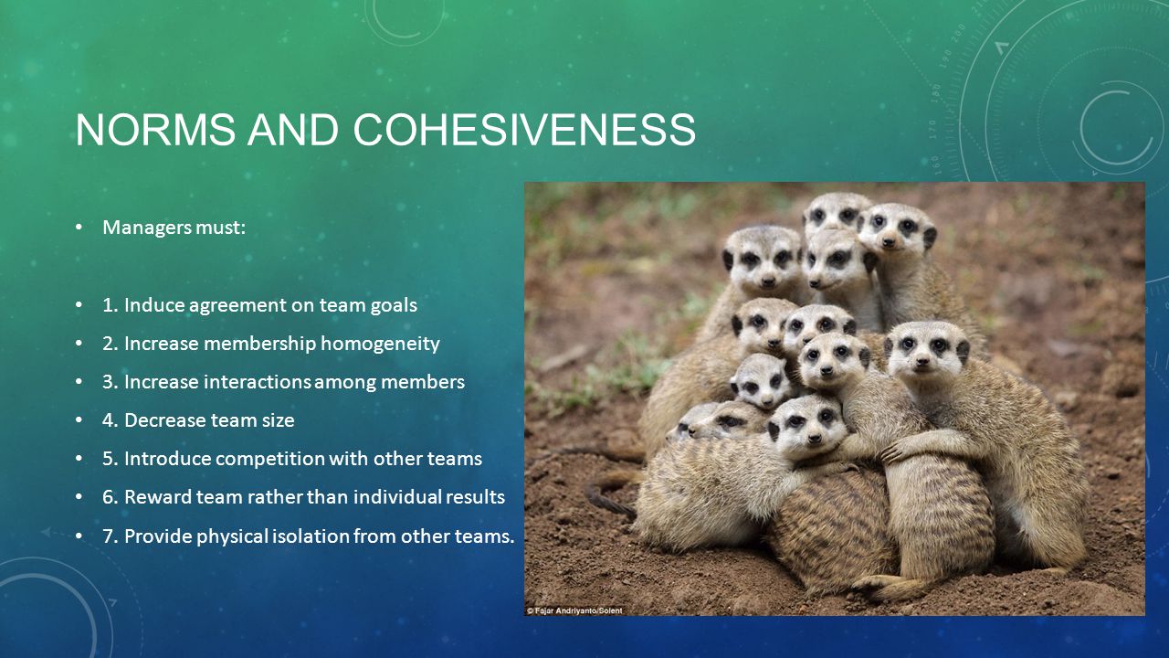 Norms and cohesiveness