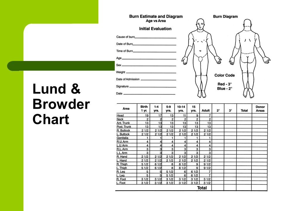 Lund And Browder Chart Explained