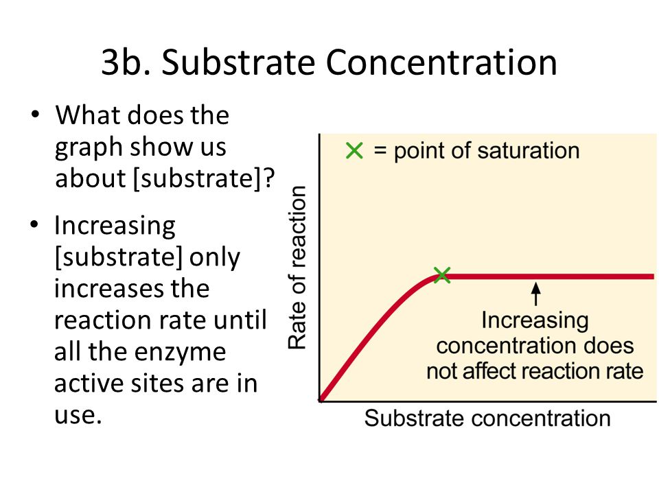 What does the graph show us about substrate? 