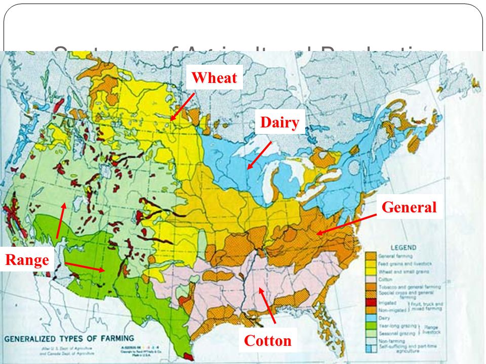 Главные сельскохозяйственные районы сша. Сельское хозяйство США карта. Сельскохозяйственные пояса США на карте. Карта животноводства США. Районы сельского хозяйства США.
