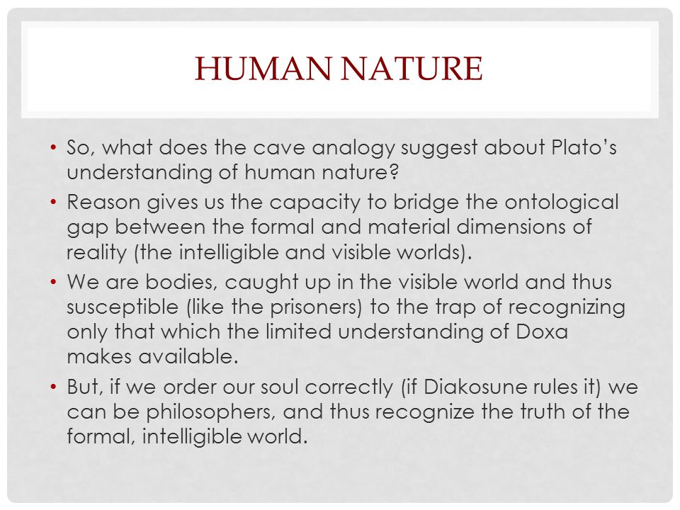 Plato's Vision of the Human - ppt download