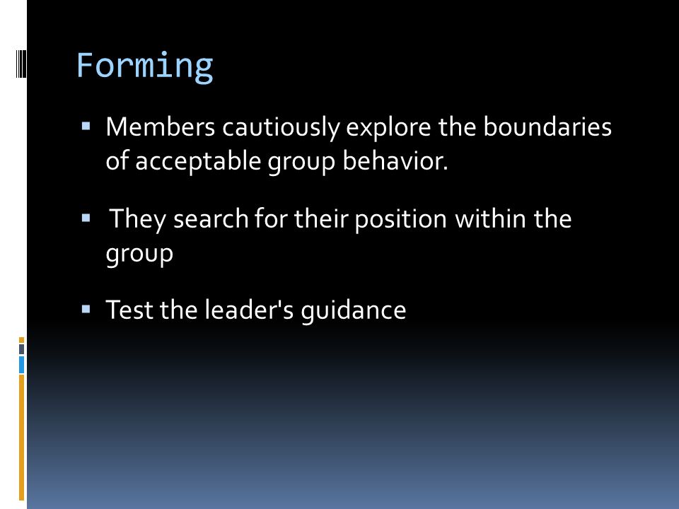 Forming Members cautiously explore the boundaries of acceptable group behavior. They search for their position within the group.