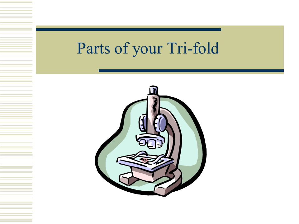 Parts of your Tri-fold