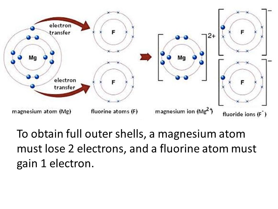 To obtain full outer shells, a magnesium atom must lose 2 electrons, and a fluorine atom must gain 1 electron.