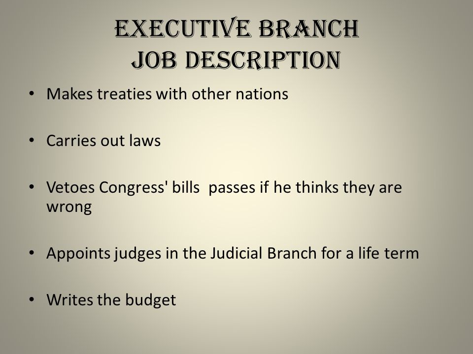 Executive Branch Job Description