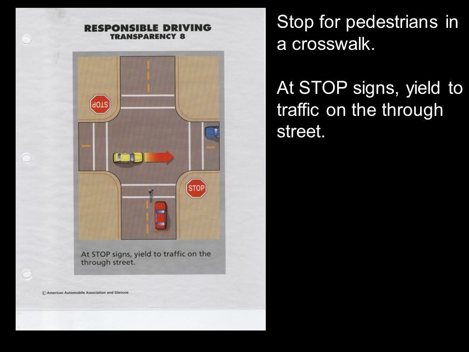 Stop for pedestrians in a crosswalk.