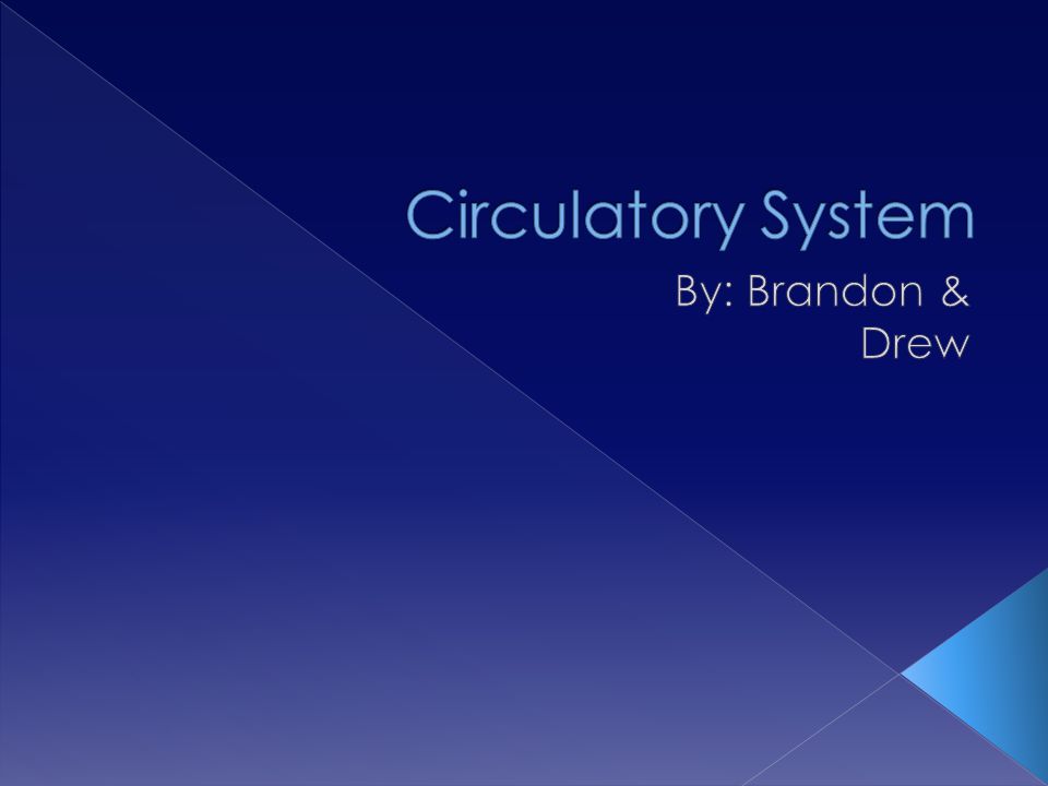 Circulatory System By: Brandon & Drew