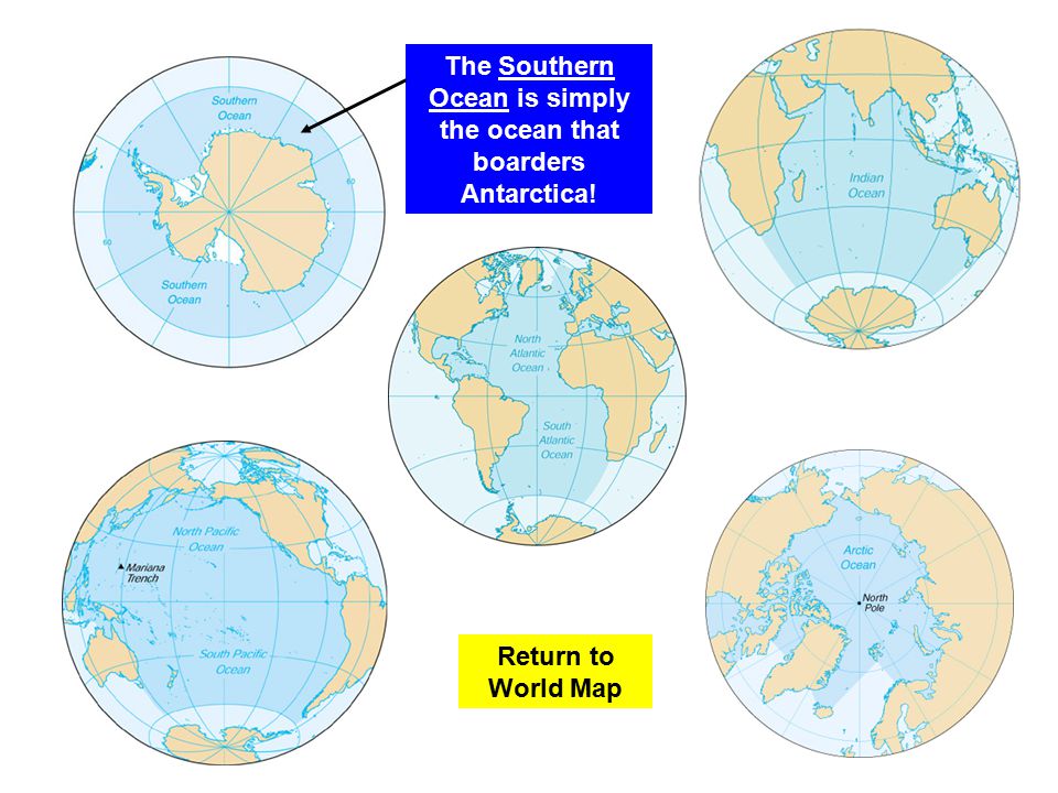 The Southern Ocean is simply the ocean that boarders Antarctica!