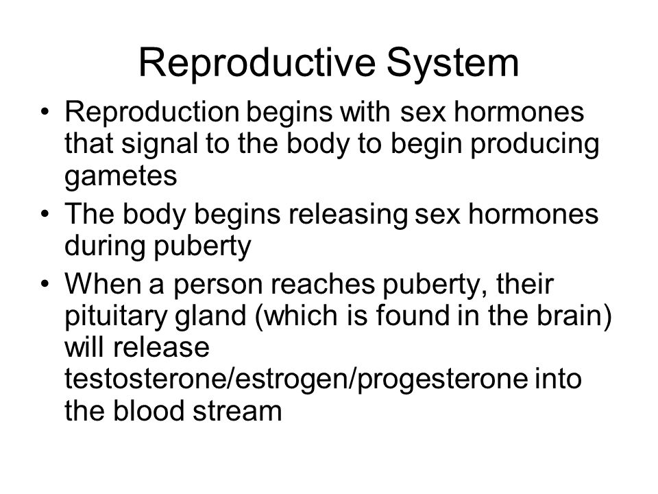 Reproductive System Reproduction begins with sex hormones that signal to the body to begin producing gametes.