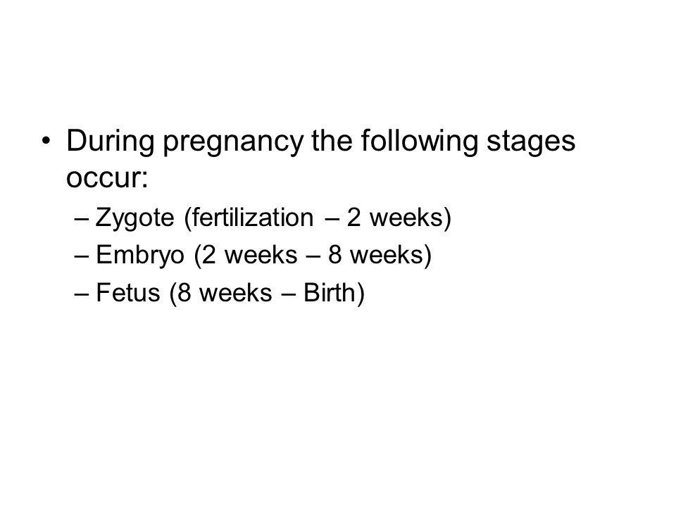 During pregnancy the following stages occur:
