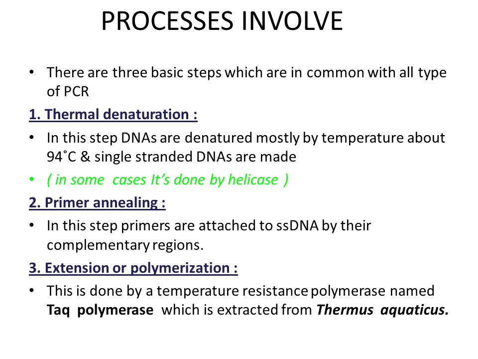 PROCESSES INVOLVE There are three basic steps which are in common with all type of PCR. 1. Thermal denaturation :