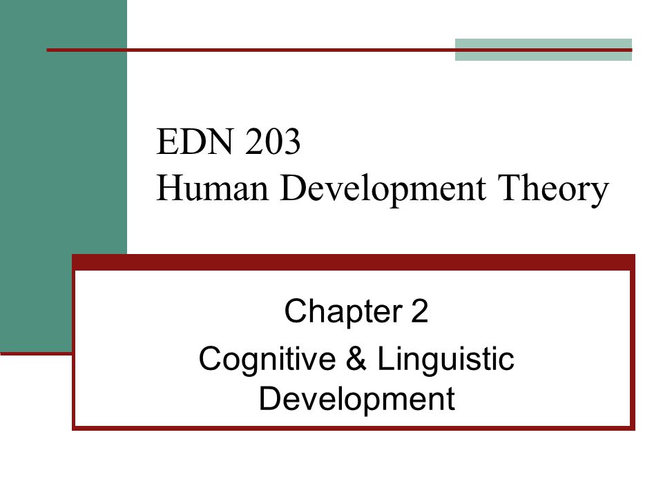 EDN 203 Human Development Theory