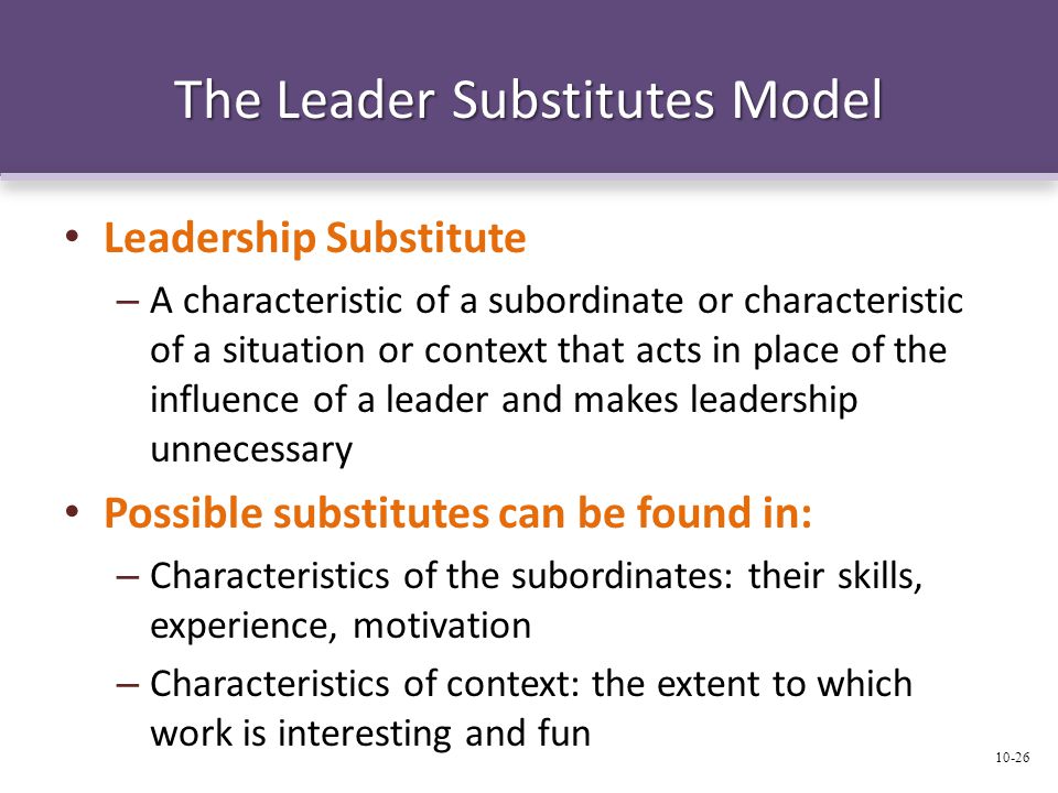 The Leader Substitutes Model