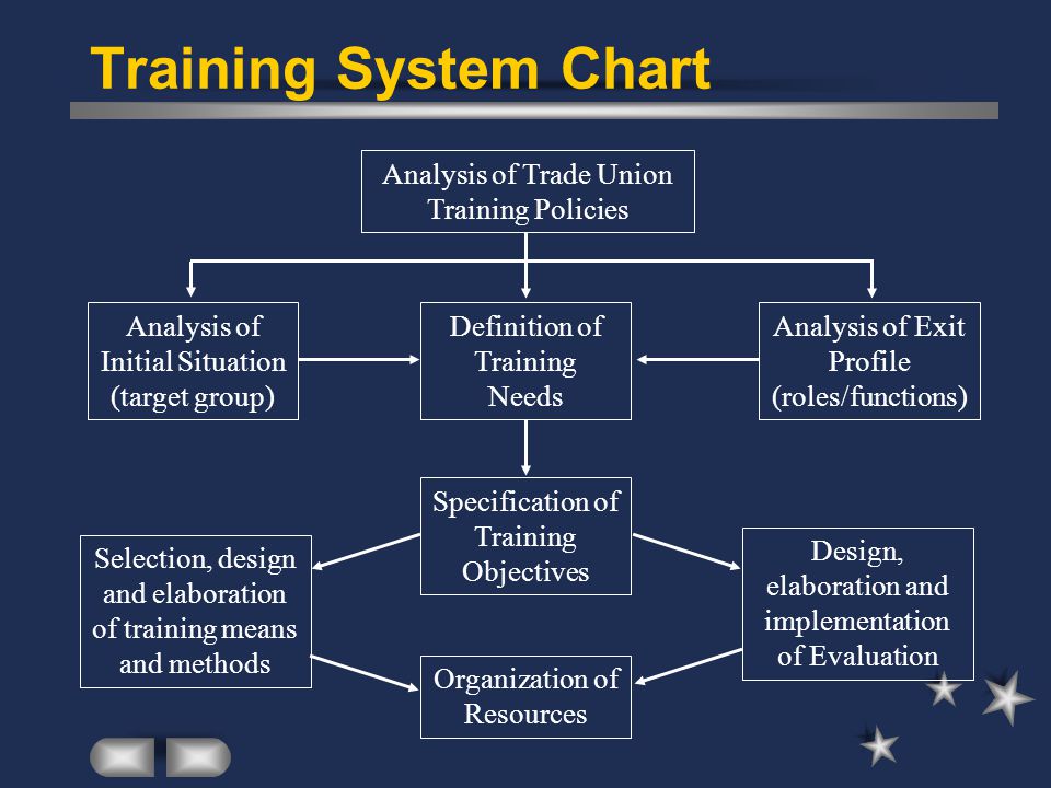 Training System Chart Analysis of Trade Union Training Policies