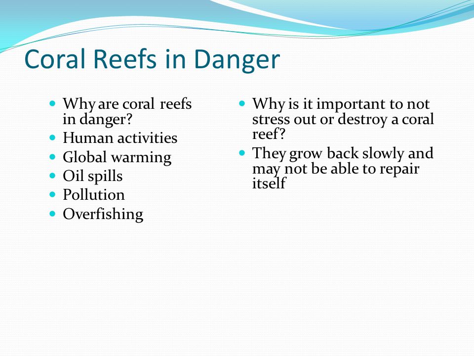 Coral Reefs in Danger Why are coral reefs in danger Human activities