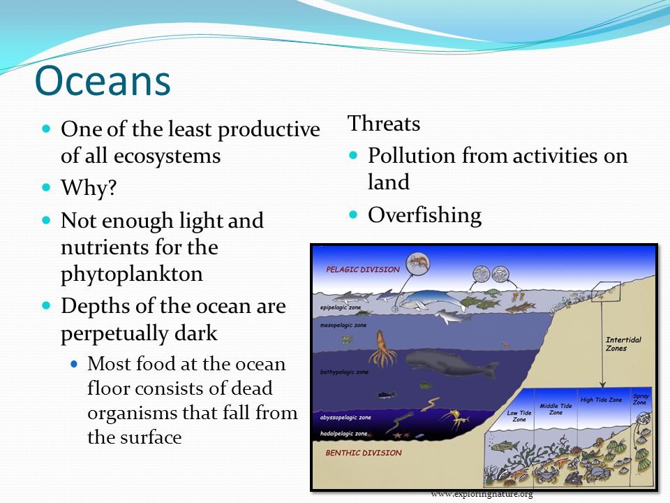 Oceans Threats One of the least productive of all ecosystems