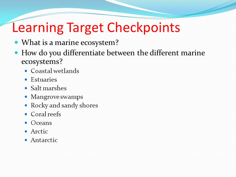 Learning Target Checkpoints
