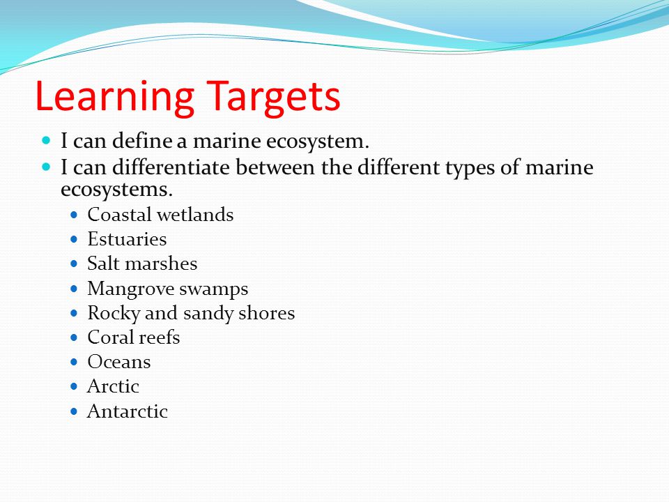 Learning Targets I can define a marine ecosystem.