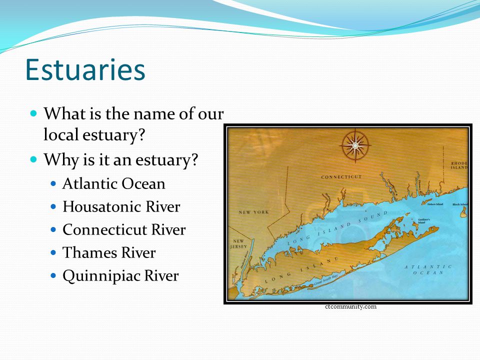 Estuaries What is the name of our local estuary Why is it an estuary