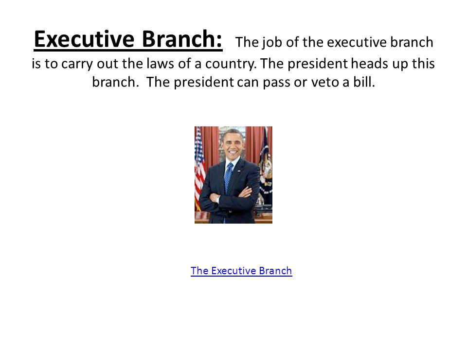 Executive Branch: The job of the executive branch is to carry out the laws of a country. The president heads up this branch. The president can pass or veto a bill.