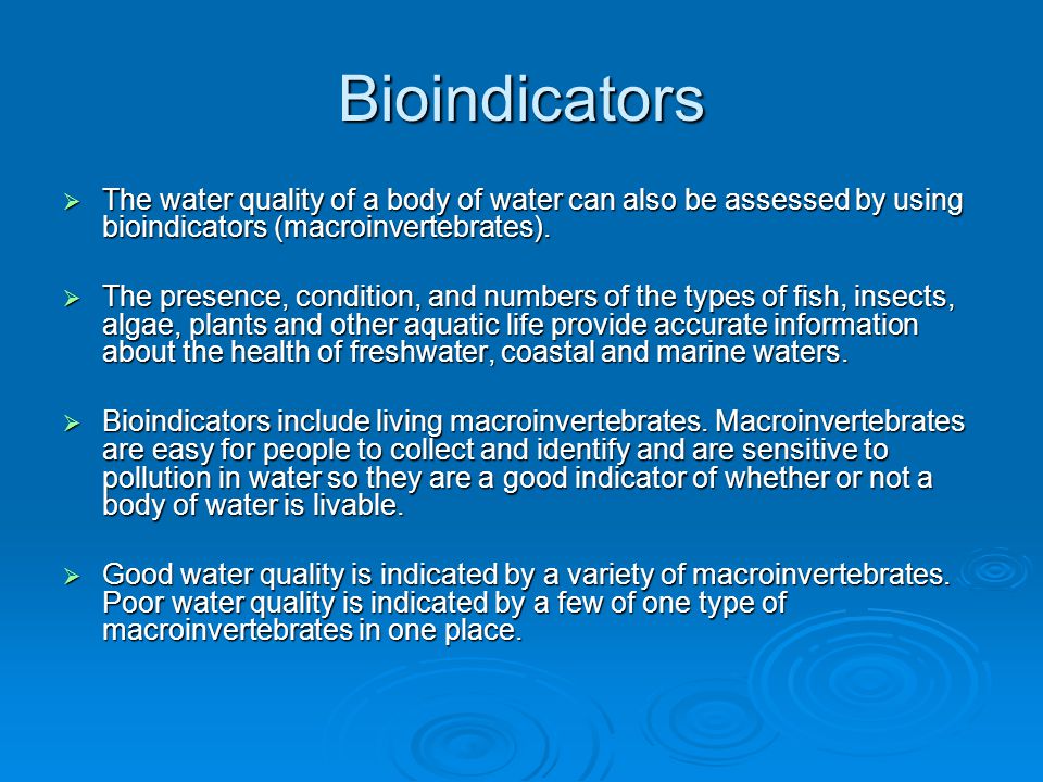 Bioindicators The water quality of a body of water can also be assessed by using bioindicators (macroinvertebrates).