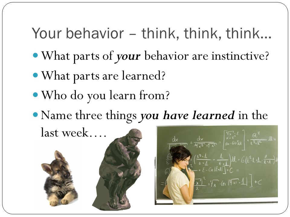 Your behavior – think, think, think…