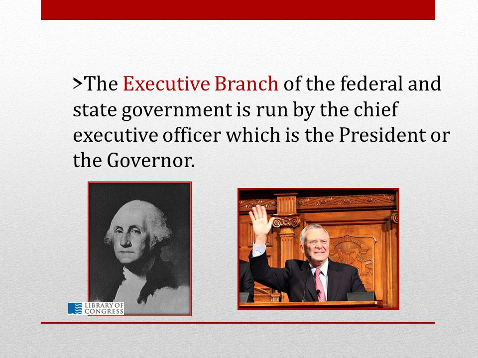 >The Executive Branch of the federal and