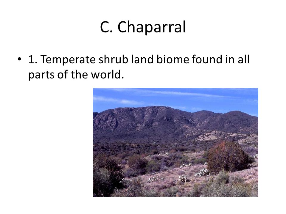 C. Chaparral 1. Temperate shrub land biome found in all parts of the world.