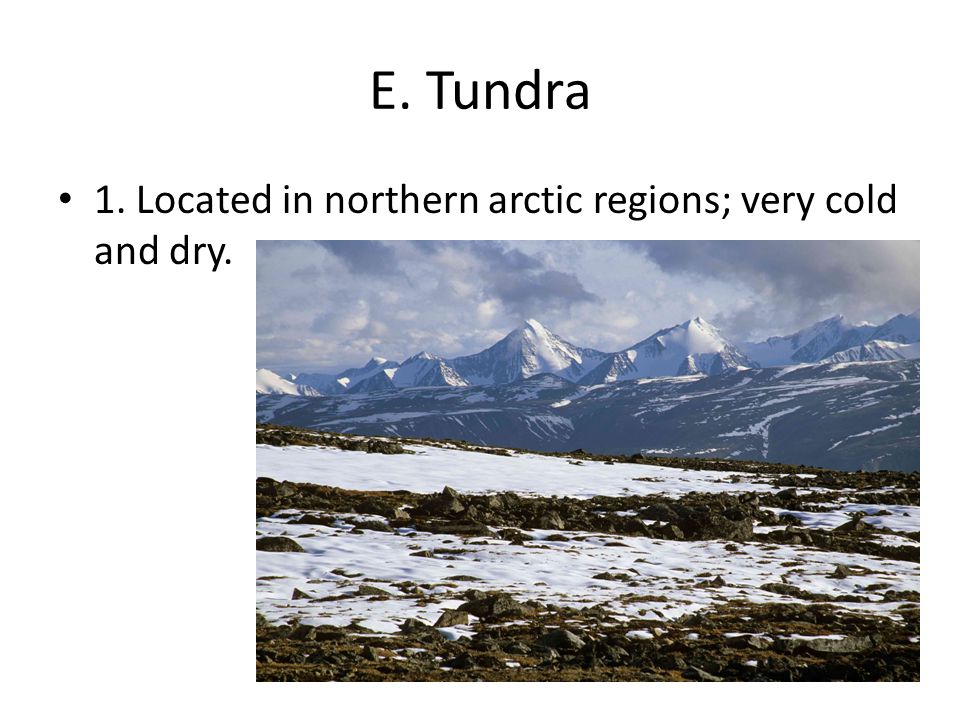 E. Tundra 1. Located in northern arctic regions; very cold and dry.
