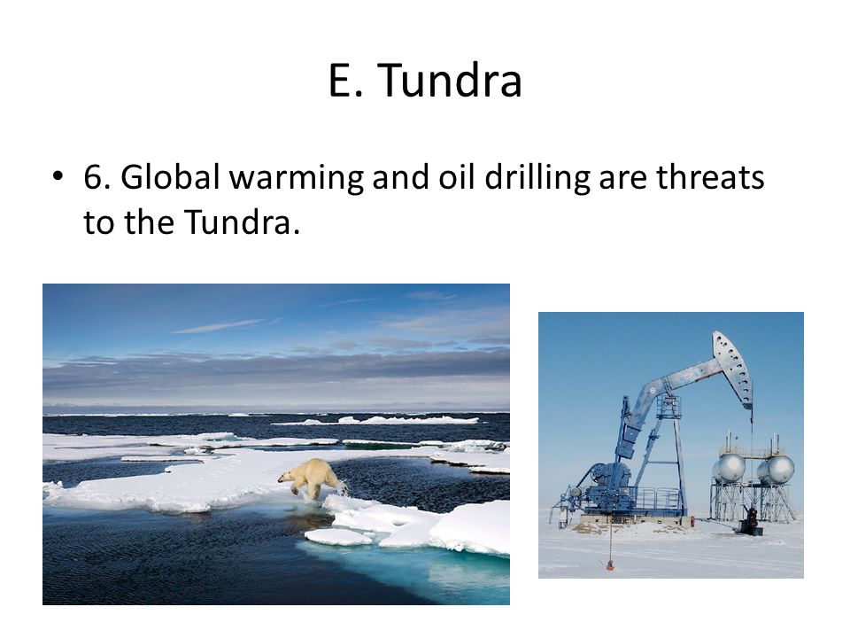 E. Tundra 6. Global warming and oil drilling are threats to the Tundra.