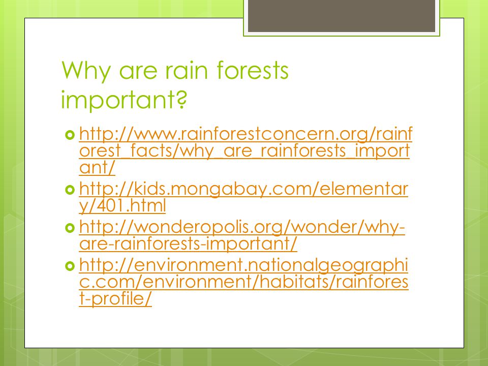 Why are rain forests important
