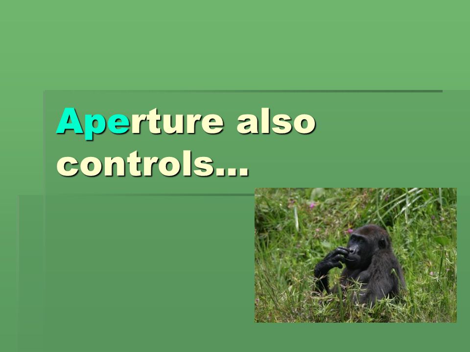 Aperture also controls…