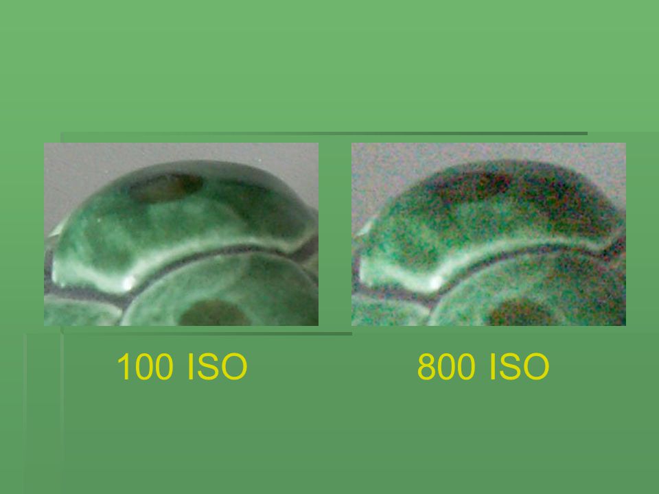 100 ISO 800 ISO