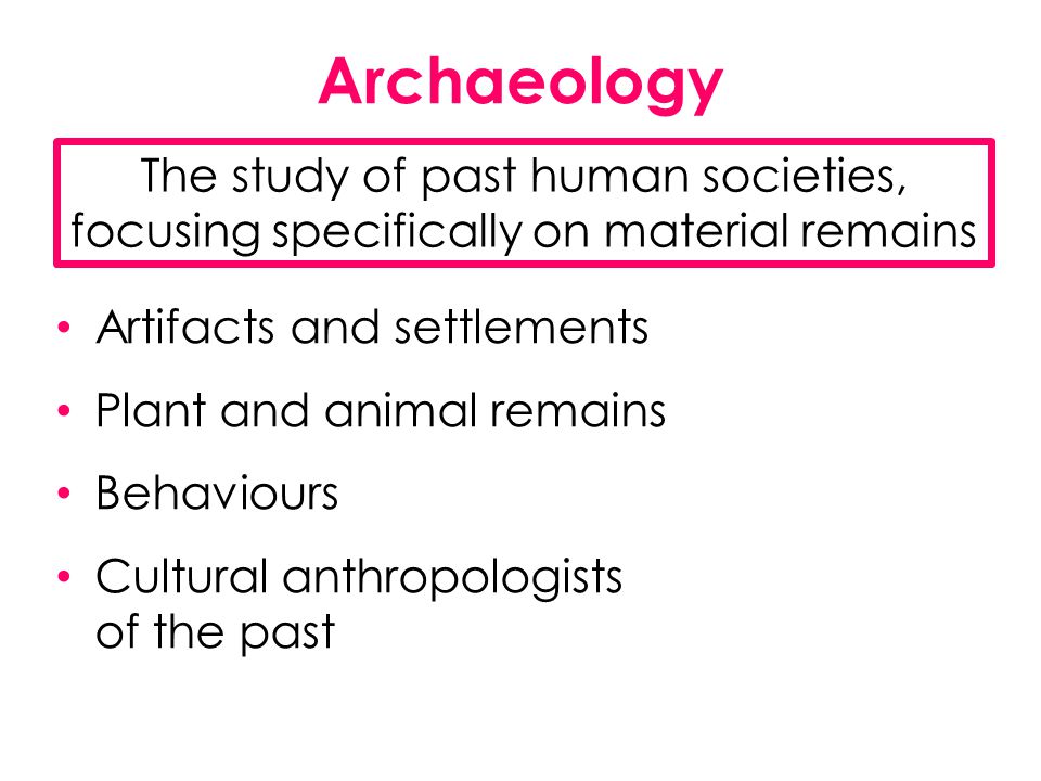 Archaeology The study of past human societies, focusing specifically on material remains. Artifacts and settlements.
