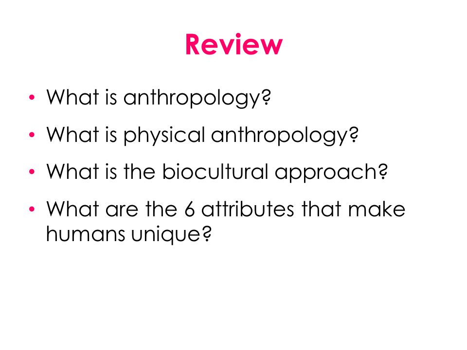 Review What is anthropology What is physical anthropology