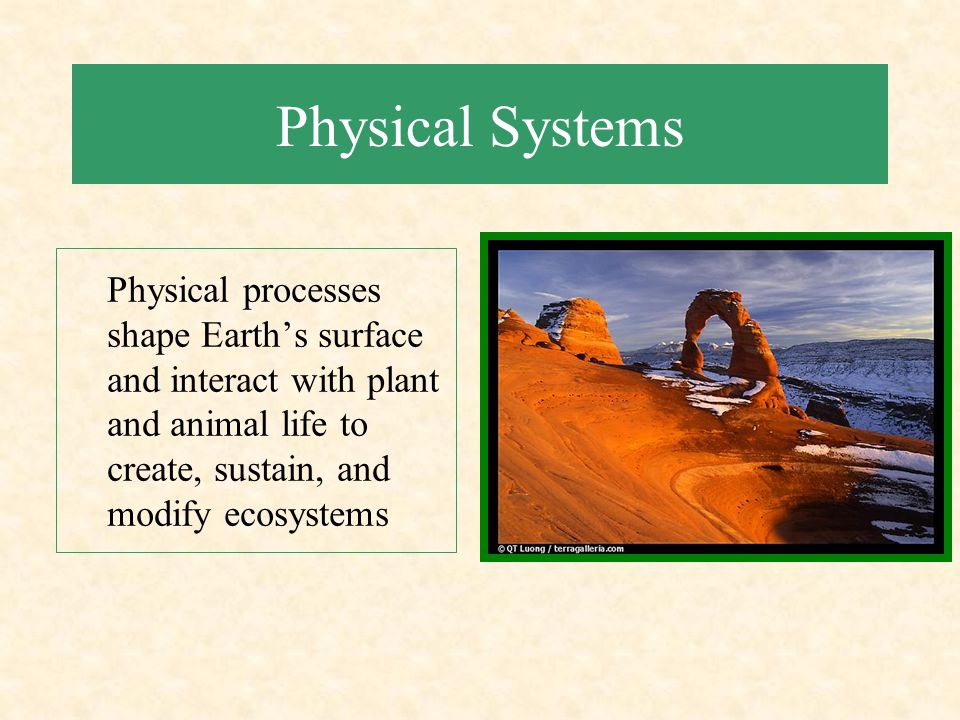 Physical Systems Physical processes shape Earth’s surface and interact with plant and animal life to create, sustain, and modify ecosystems.