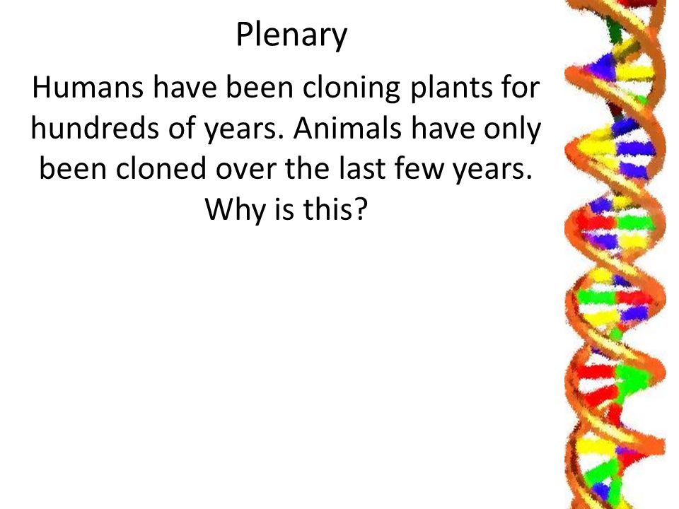 difference between cloning plants and animals