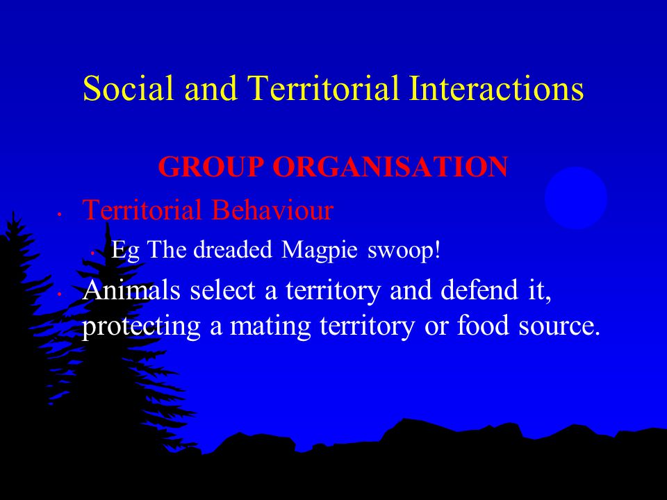 Social and Territorial Interactions