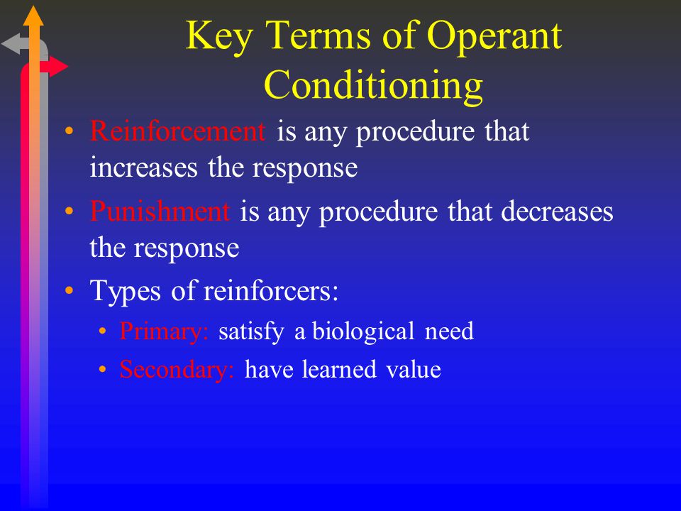 Key Terms of Operant Conditioning