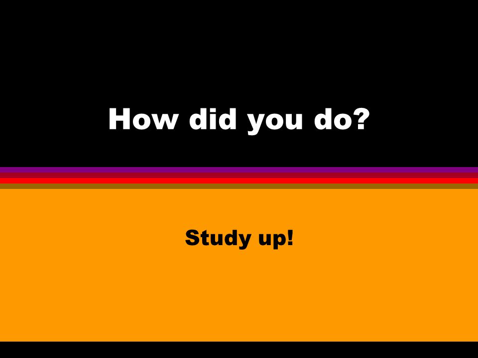How did you do Study up!
