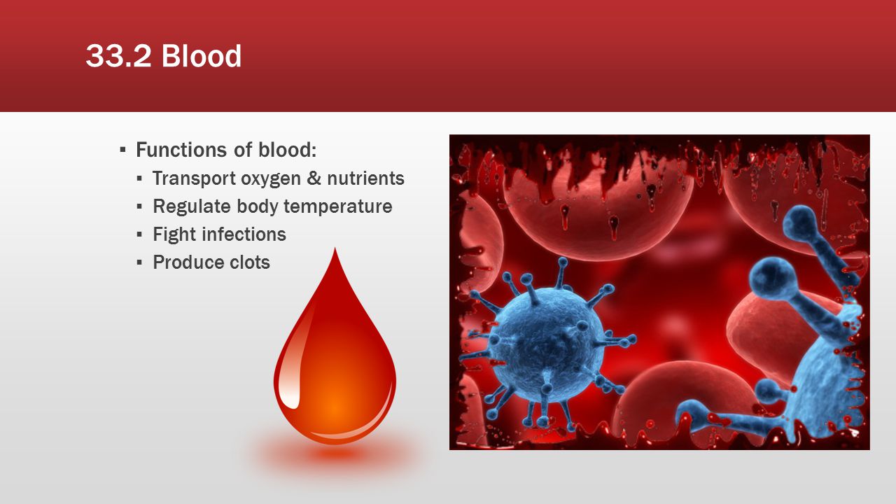 33.2 Blood Functions of blood: Transport oxygen & nutrients