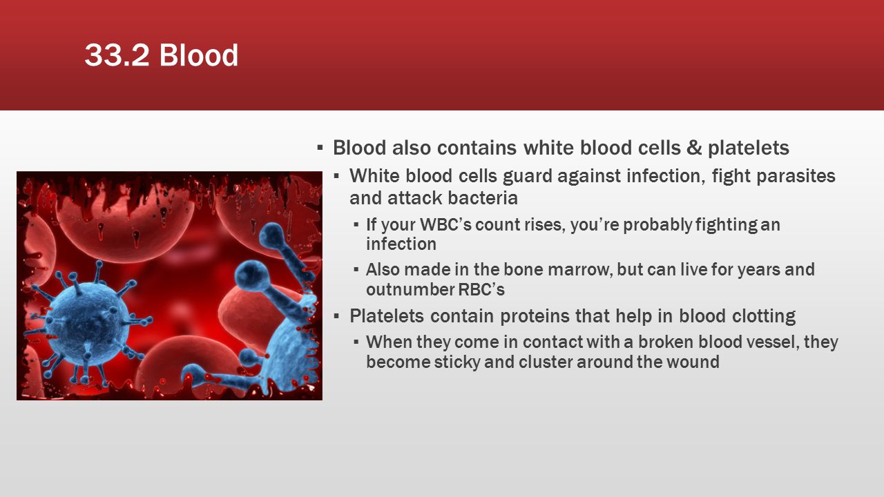 33.2 Blood Blood also contains white blood cells & platelets